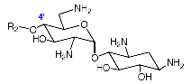 AMG004