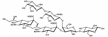 GLY099